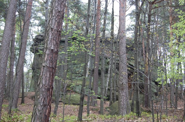 30 DSC_9259.JPG - (C) Jacek L. Piotrowski 601 07-77-09